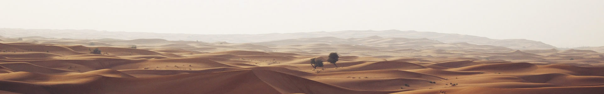 ϣܿƼ޹˾